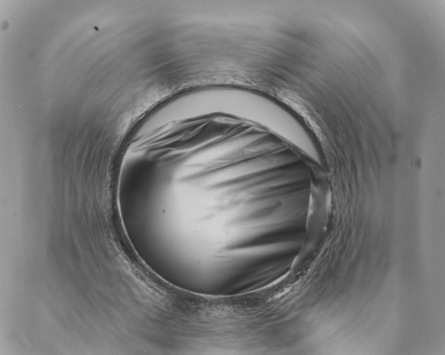 X0000088890677200706291440