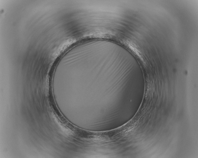 X0000088890678200706291440