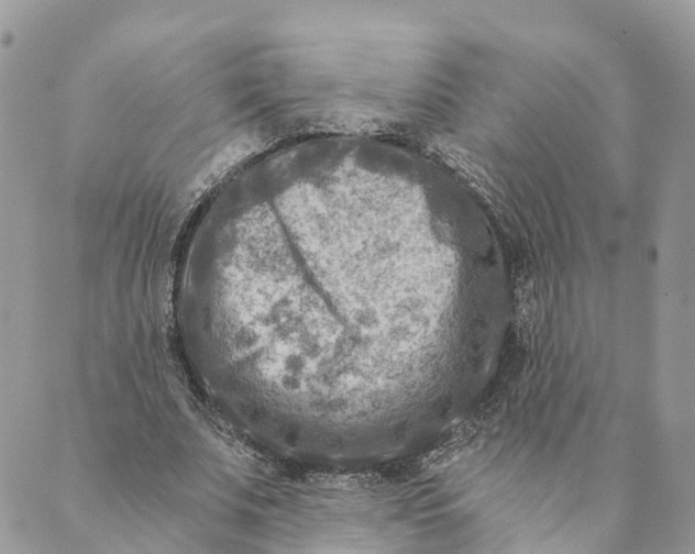 X0000088890679200706291440