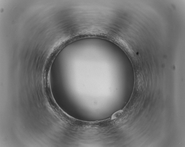 X0000088890680200706291440