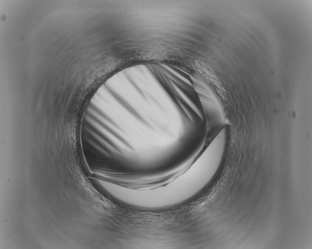 X0000088890681200706291440