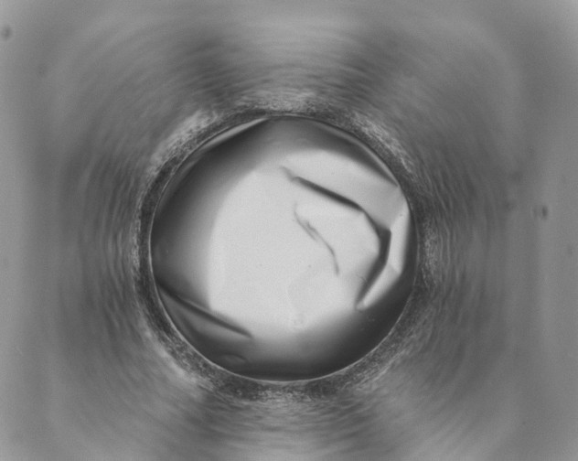 X0000088890682200706291440