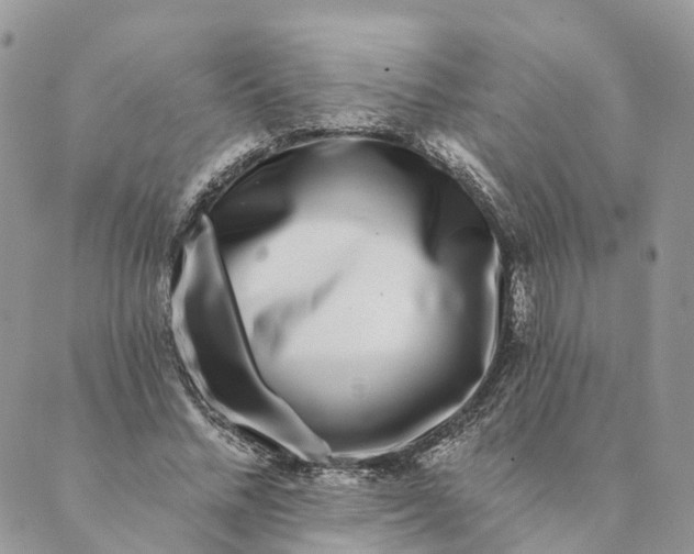 X0000088890684200706291440