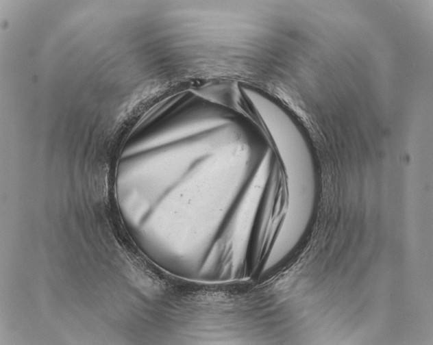 X0000088890685200706291440