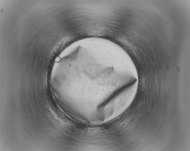 X0000088890686200706291440