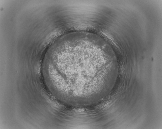 X0000088890687200706291440