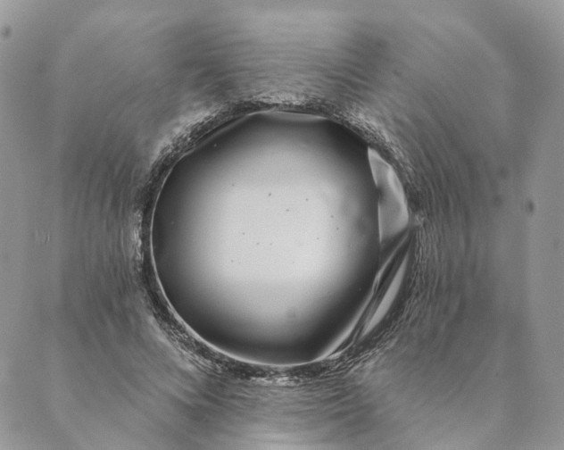 X0000088890688200706291440