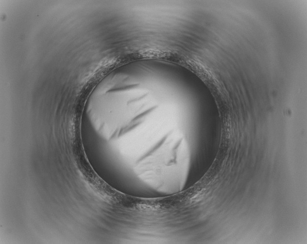 X0000088890690200706291440