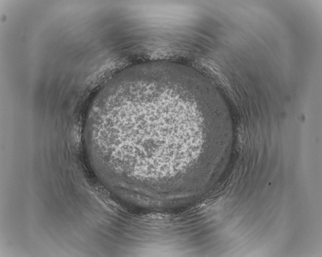 X0000088890691200706291440