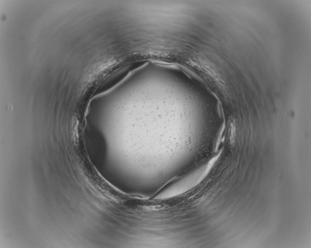 X0000088890692200706291440