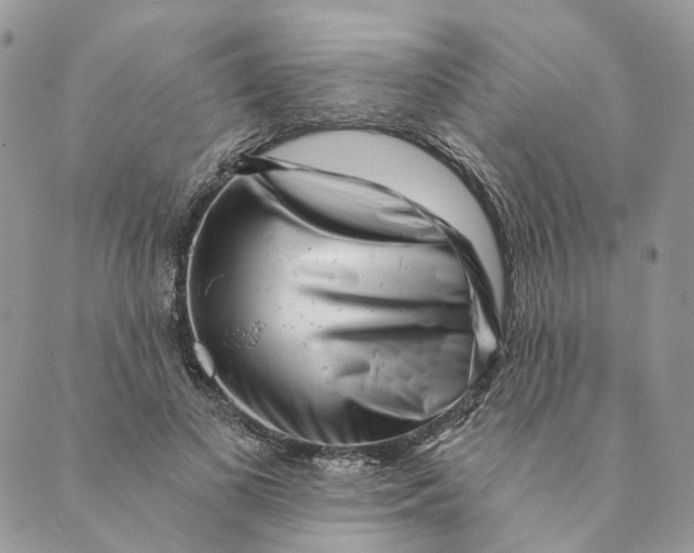 X0000088890693200706291440