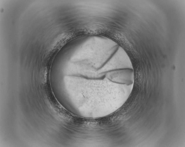 X0000088890694200706291440