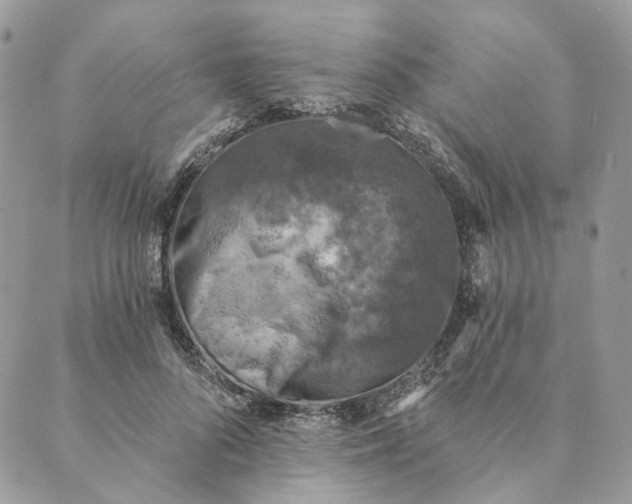 X0000088890696200706291440