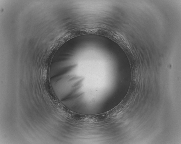 X0000088890697200706291440