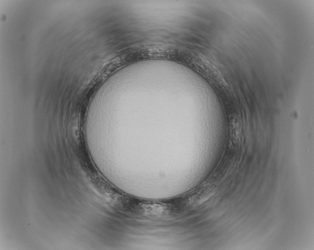 X0000088890698200706291440