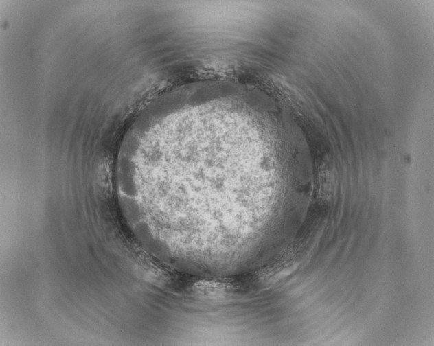 X0000088890699200706291440