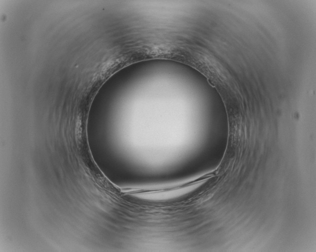 X0000088890700200706291440