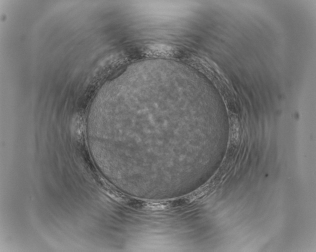 X0000088890701200706291440