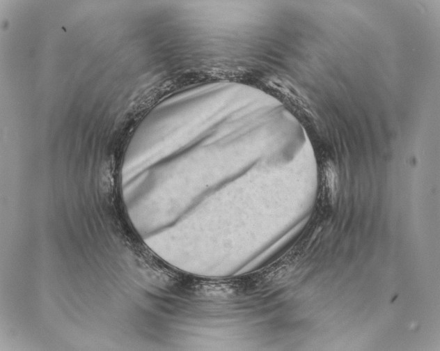 X0000088890702200706291440