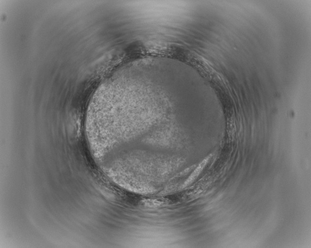 X0000088890703200706291440