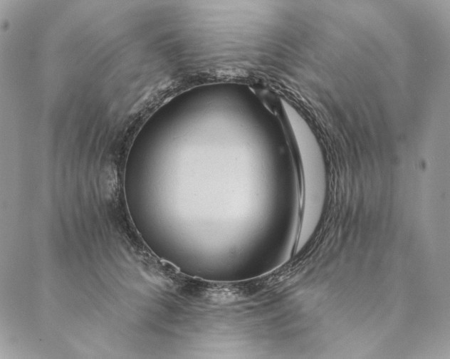 X0000088890704200706291440