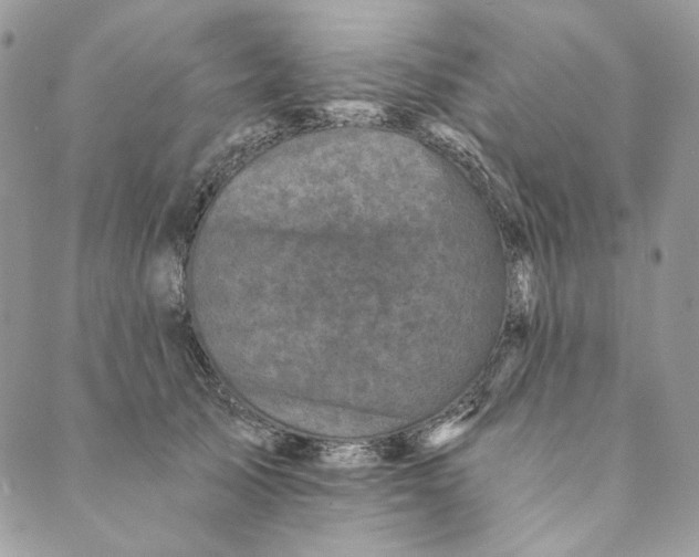 X0000088890705200706291440