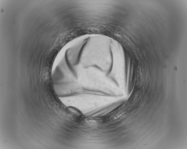 X0000088890706200706291440