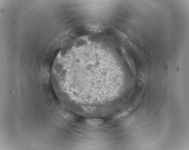 X0000088890707200706291440