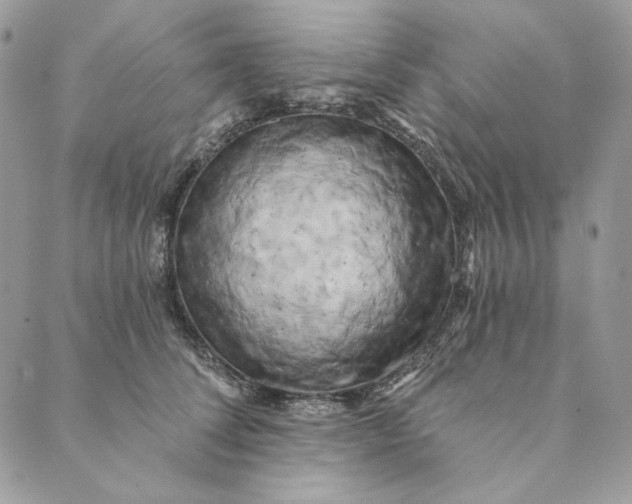 X0000088890708200706291440