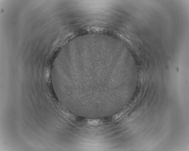 X0000088890709200706291440