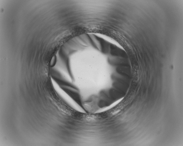 X0000088890710200706291440