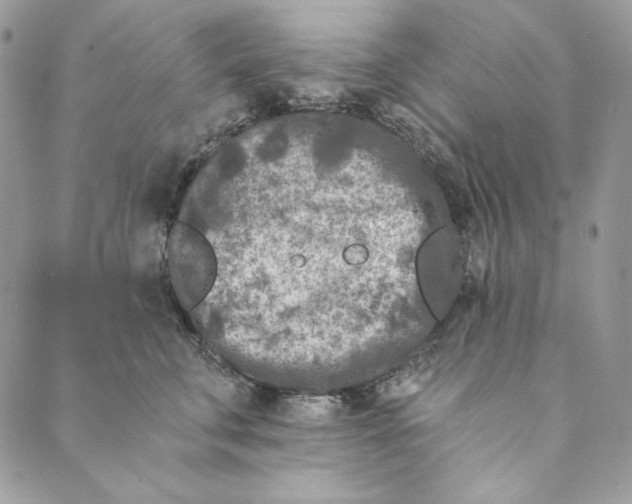 X0000088890711200706291440