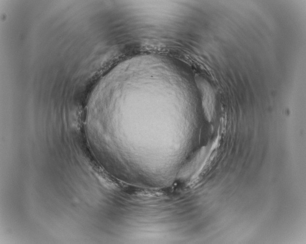 X0000088890712200706291440