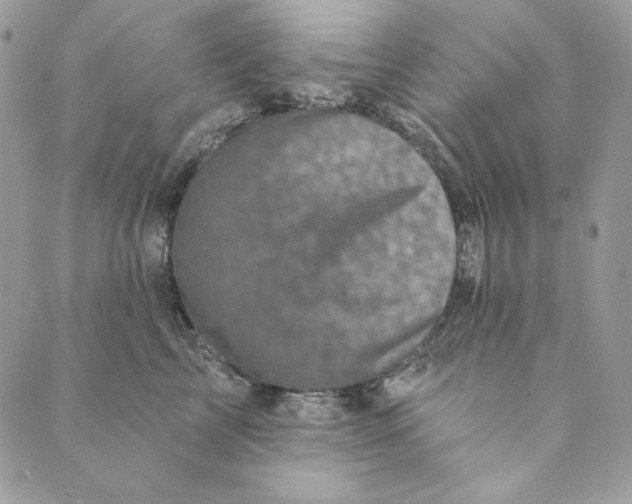 X0000088890713200706291440