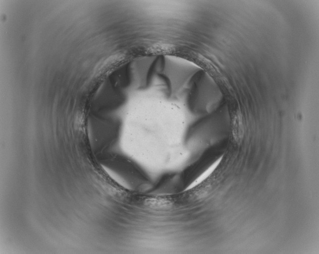 X0000088890714200706291440