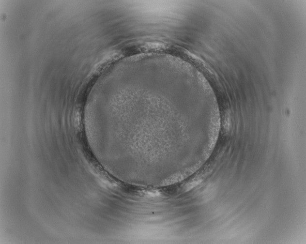 X0000088890715200706291440