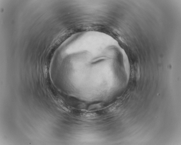 X0000088890716200706291440