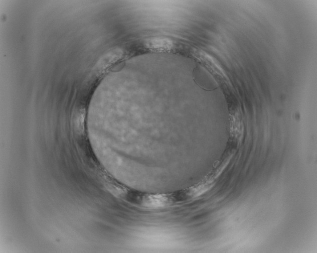 X0000088890717200706291440