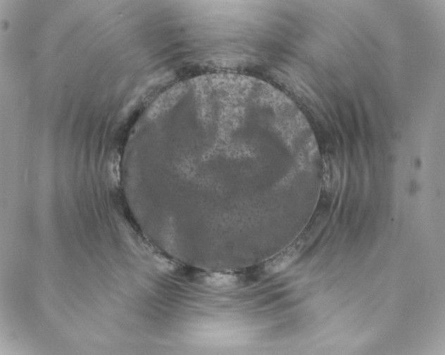 X0000088890718200706291440