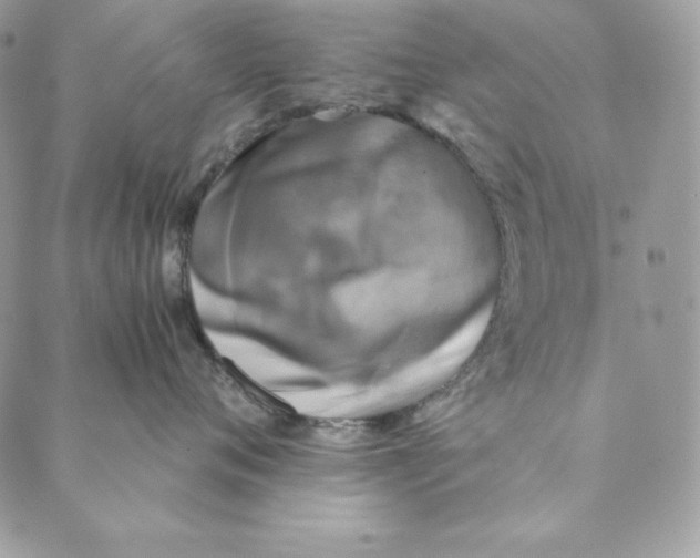 X0000088890720200706291440