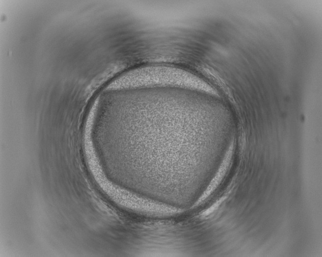 X0000088890721200706291439