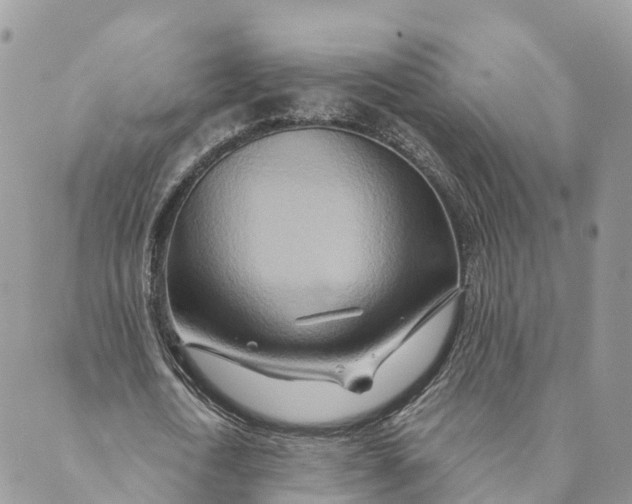 X0000088890722200706291439