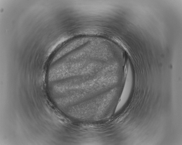 X0000088890723200706291439