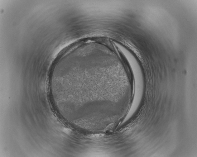 X0000088890724200706291439