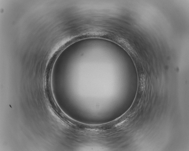 X0000088890726200706291439