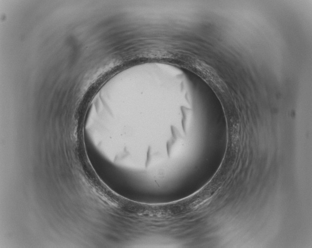 X0000088890727200706291439