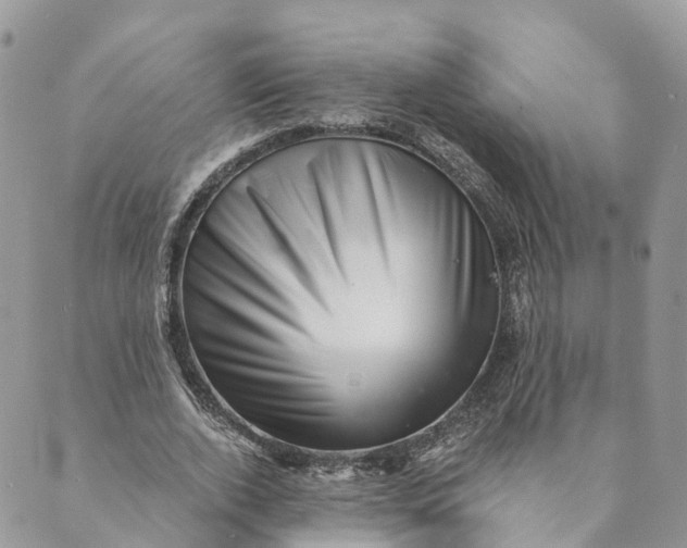 X0000088890728200706291439