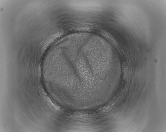 X0000088890729200706291439