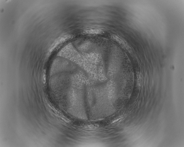 X0000088890731200706291439