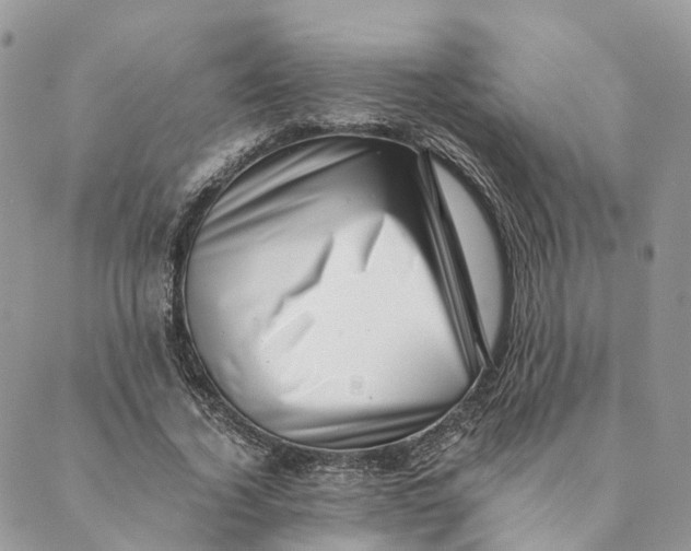 X0000088890732200706291439